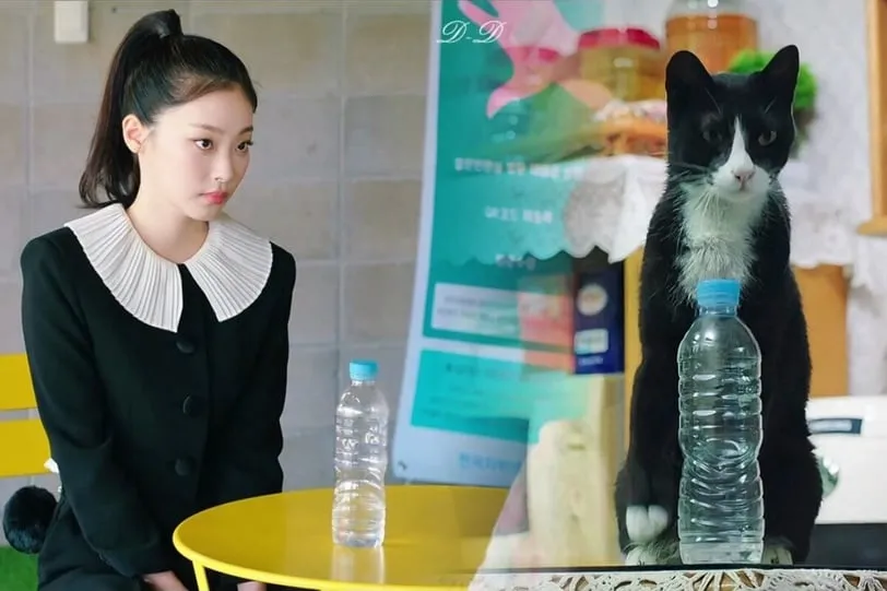 《比天堂還美麗》崔熙真被封「人間貓咪」！勾人小貓眼妝畫法教學，無痛化身人間小貓咪